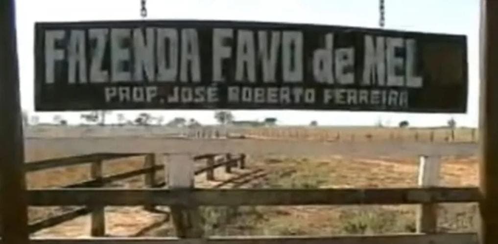 Portal de entrada da Favo de Mel (Reprodução: Youtube) Portal de entrada da Favo de Mel (Reprodução: Youtube)