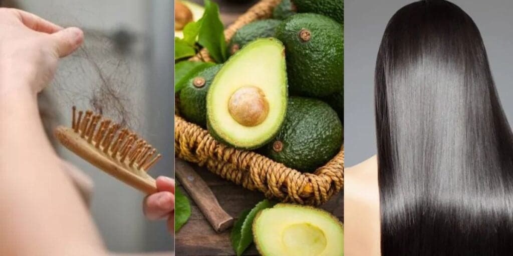 Fim da queda, força e muito mais brilho que produtos importados: Abacate pode salvar seu cabelo hoje (23)