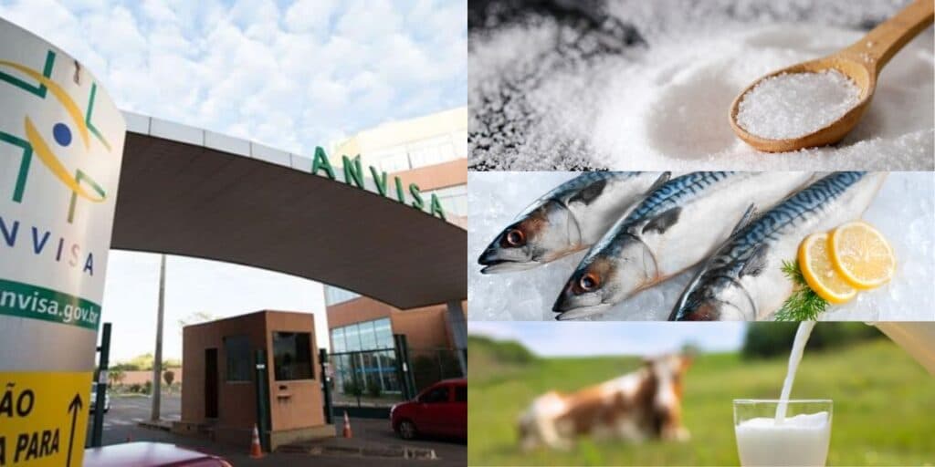 Sal, leite e peixe: As 3 marcas gigantes de alimentos proibidas pela ANVISA com decreto em 2023