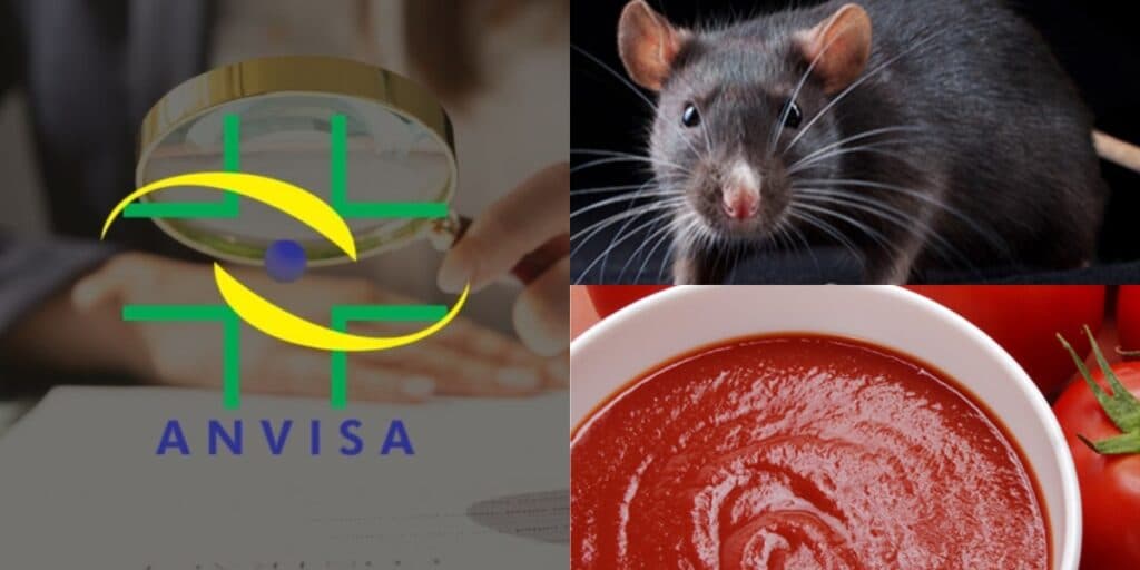Venda proibida e contaminação com pelo de rato: Anvisa crava proibição contra dois molhos de tomate e situação hoje (28)
