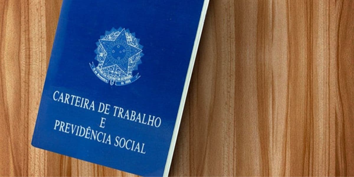 Lei, Jornal Nacional Lei, Jornal Nacional