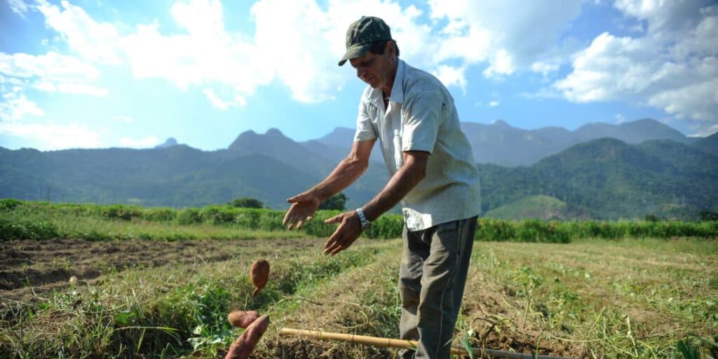 Aposentadoria rural do INSS é voltada a quem vive dos trabalhos nos campos (Foto: Reprodução/Agência Brasil) Aposentadoria rural do INSS é voltada a quem vive dos trabalhos nos campos (Foto: Reprodução/Agência Brasil)