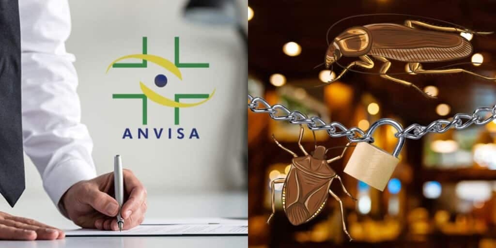 Ordem da ANVISA, prisão e infestação de barata: A interdição da Vigilância contra restaurante amado do RJ