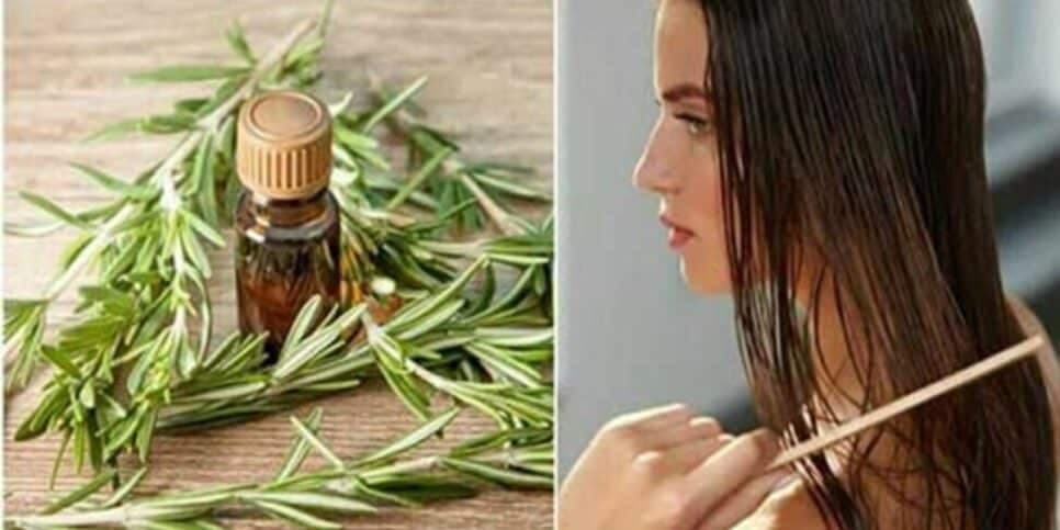 Imagem do post Imagem do post