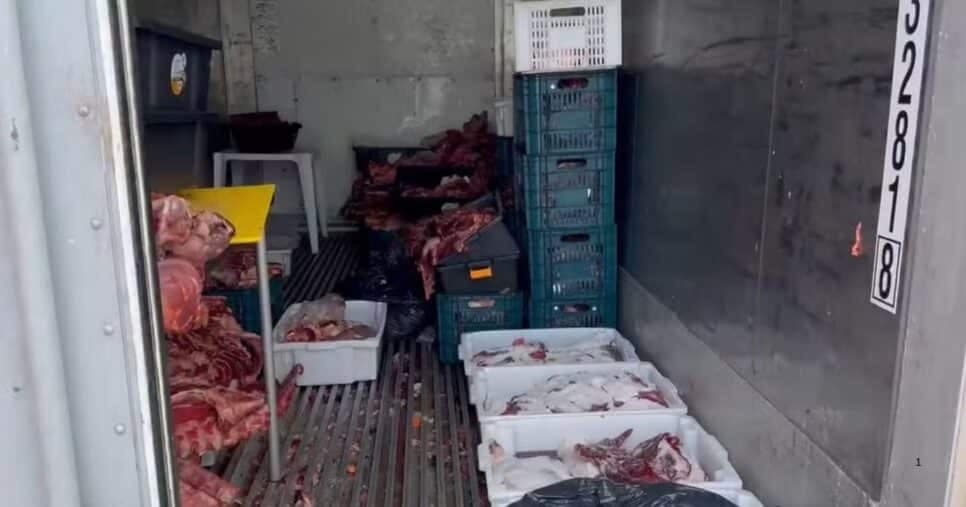 Vigilância Sanitária interdita açougue e container por conter carne esverdeada e apodrecida (Foto Reprodução/G1) Vigilância Sanitária interdita açougue e container por conter carne esverdeada e apodrecida (Foto Reprodução/G1)