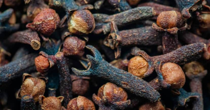 Cravo da índia traz vários benefícios para o cabelo (Foto: iStock) Cravo da índia traz vários benefícios para o cabelo (Foto: iStock)