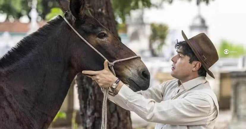 Policarpo e Candinho em Êta Mundo Melhor! (Foto: Reprodução / Globo / Montagem TV Foco) Policarpo e Candinho em Êta Mundo Melhor! (Foto: Reprodução / Globo / Montagem TV Foco)