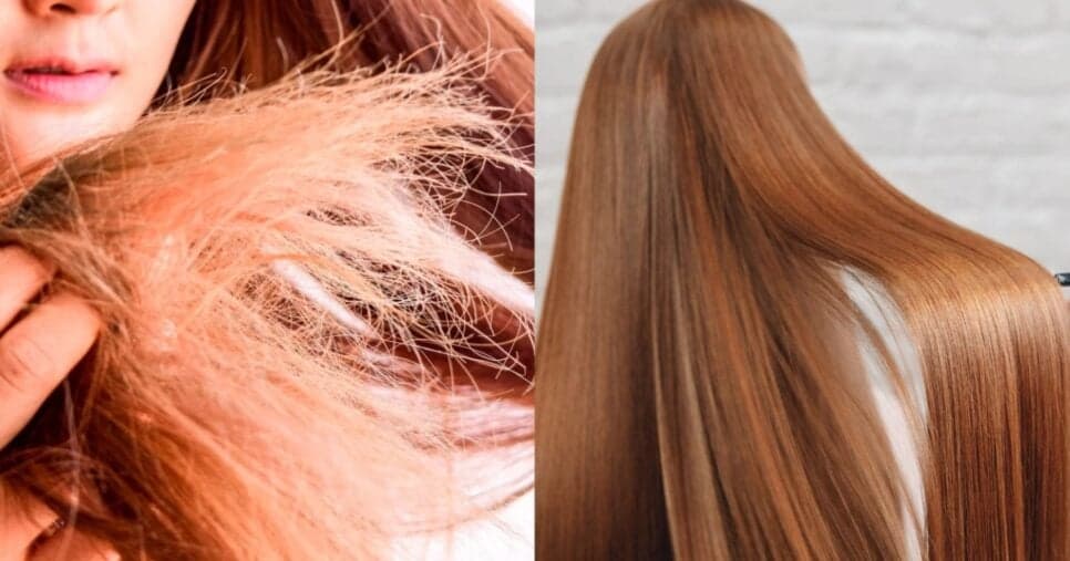 Cabelo ressecado e danificado? Hidratação profunda com apenas 2 ingredientes naturais salvam os fios
